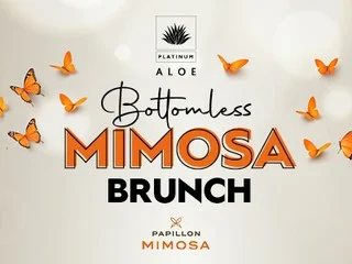 Bottomless Mimosa Brunch
Brunch just got better! Enjoy bottomless Mimosas and a sweet & savoury platter for only R295 pp.
Platinum Aloe | Sat & Sun, 12h00–14h30
Bookings essential - 013 045 0510/0504
T&Cs apply | Sit-down only